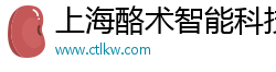 上海酪术智能科技